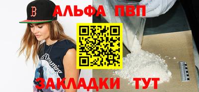 шишки Новодвинск