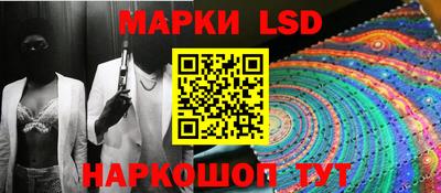 шишки Новодвинск