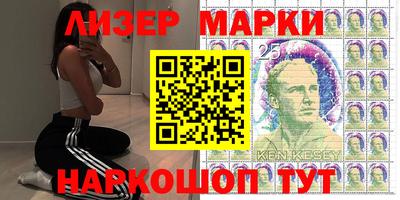 шишки Новодвинск