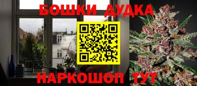 шишки Новодвинск