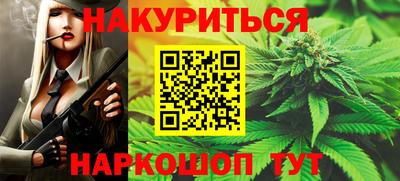 шишки Новодвинск