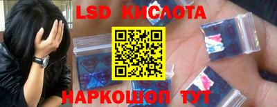шишки Новодвинск