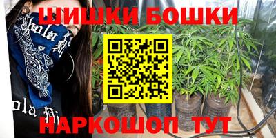 индика Новозыбков