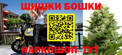 индика Новозыбков