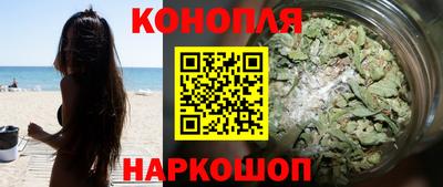 шишки Новодвинск