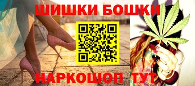шишки Новодвинск