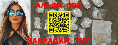 шишки Новодвинск